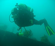Scuber diver under water